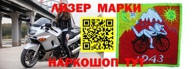 мяу мяу мука Аргун