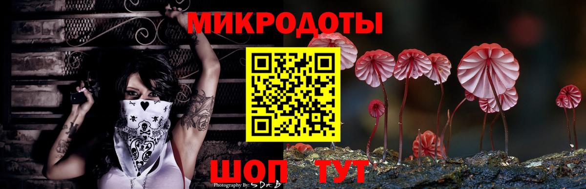 Братск  Псилоцибиновые грибы ЛСД  Вход с VPN  Псилоцибиновые грибы GOLDEN TEACHER 